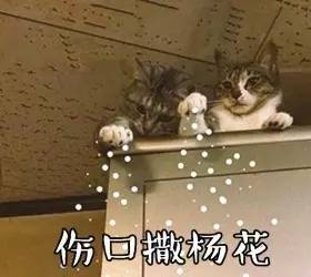 讽刺女人不洁身自好,抨击水性杨花的女人