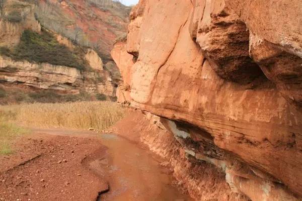史记故事神医扁鹊,神医扁鹊的故事视频