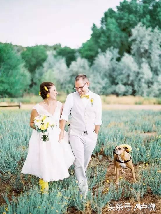 爱有五种表现形式,对爱最直接的表达方式就是