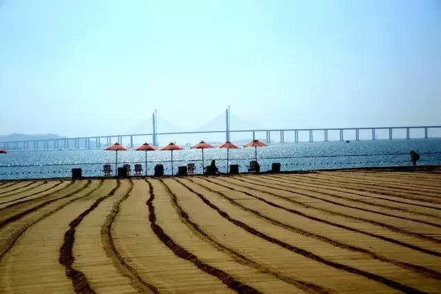 每个人心中有一片大海,每个人心里都有一个大海