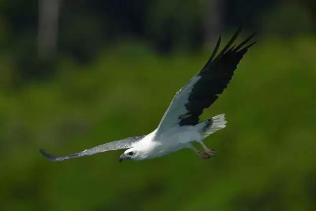 尼康d850点测光技巧,尼康d850价格曲线图