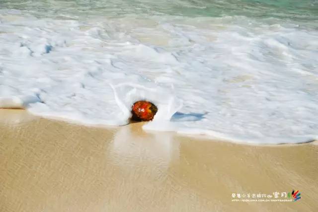 适合亲子旅行的海岛,亲子游玩的海边一日游