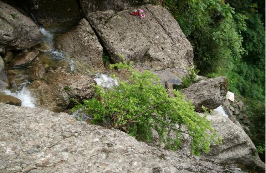 成都周边爬山最佳徒步攻略自由行,成都周边小众徒步冬季景点