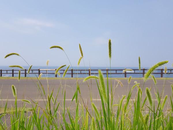 三星note8好还是s8好,三星note8选哪个颜色好呢