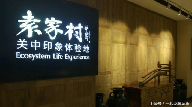 20元在西安吃什么饭,在西安13块钱能吃饱的有什么