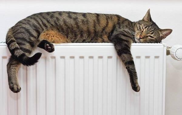 摩羯到底有多懒,摩羯佬谈摩羯座有多懒