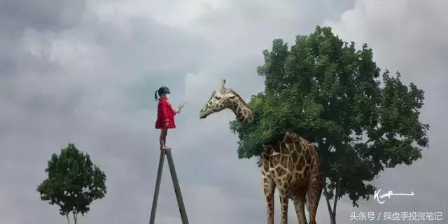 期货操盘心得分析,期货真实心得