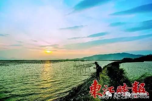 11月19日全国部分水产品批发价格,7月水产品批发市场价格简报