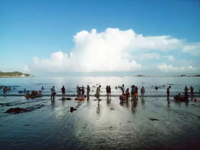 不是厦门本地去鼓浪屿,不是厦门本地怎么去鼓浪屿