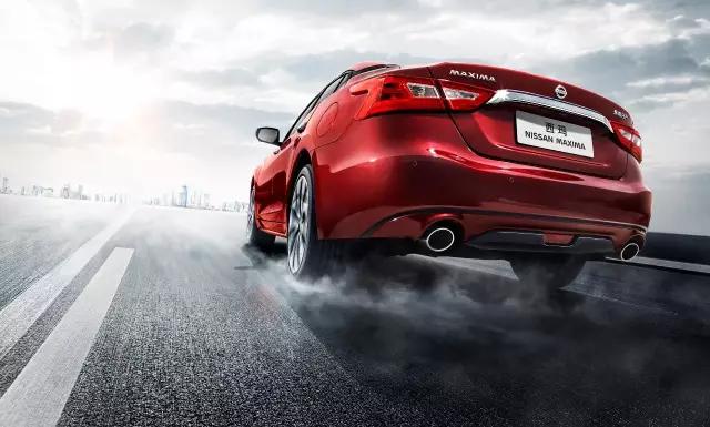 西玛是匹什么马,它跑的快吗?