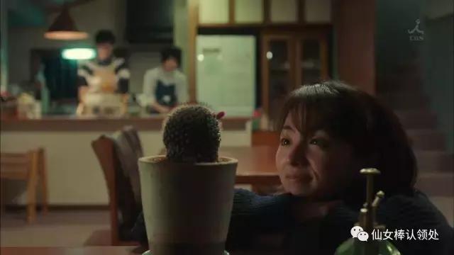 老实交代后面一句是什么,老实交代后面一句