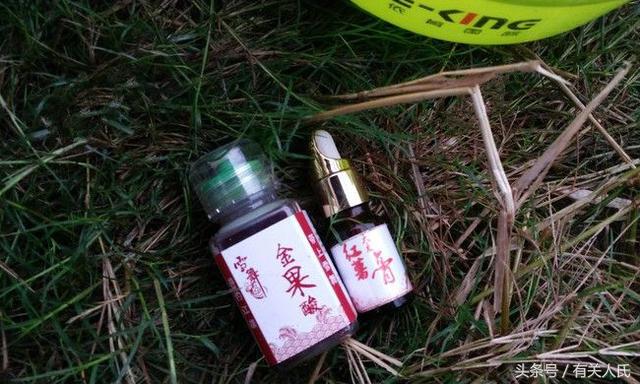 20块钱的黑塘，3个人1天收获50多条鱼，这次钓鱼很爽