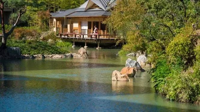 种草志|800年历史风华的京都四季,顺便告诉你京都怎么住