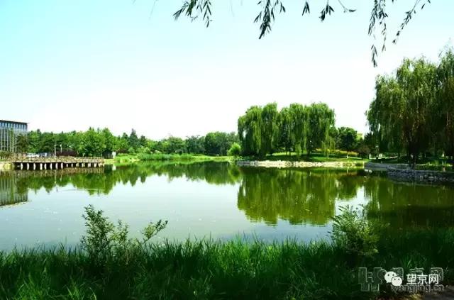 厚积薄发昌邑,厚积薄发中海