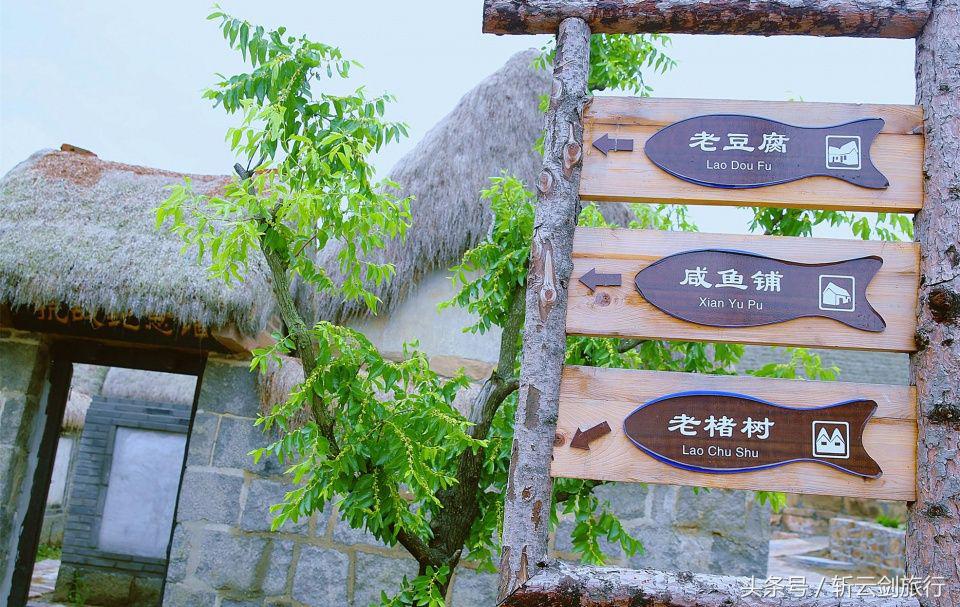 荣成烟墩角天鹅拍摄机位,世界最大天鹅