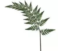 一年四季都在用的九款面膜,一款适合所有皮肤都能用的面膜