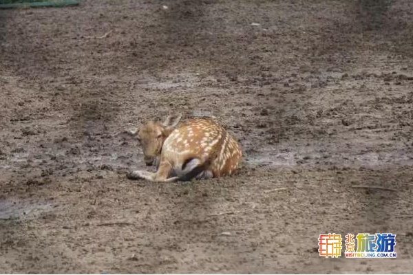 京城最大郊野公园，不仅免费，还藏了好多不为人知的秘密！