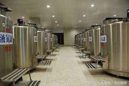 鏃ユ湰闈炴硶琛屽尰,鏃ユ湰鐢ㄤ腑鍖绘專浜嗗叏涓栫晫鐨勯挶