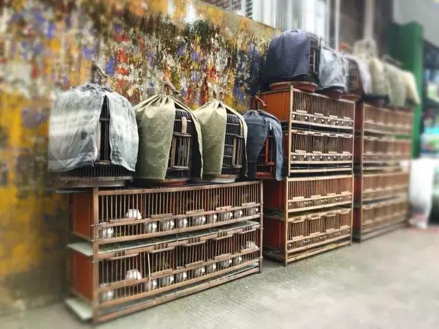 每个夏天都要快乐,每个夏天都要开心