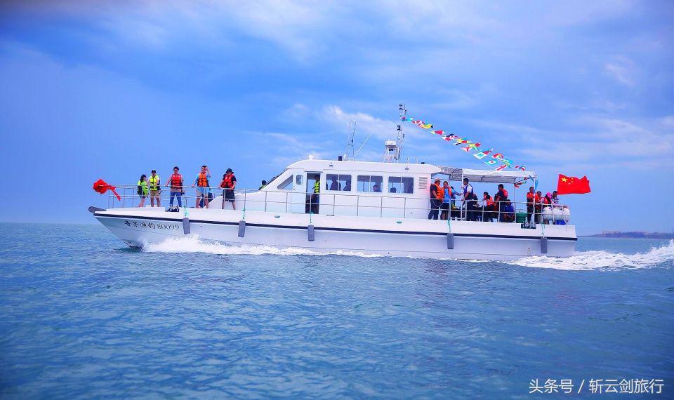 荣成烟墩角天鹅拍摄机位,世界最大天鹅