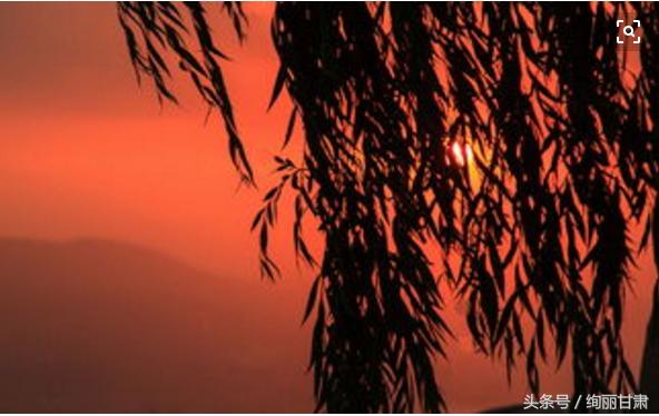 成县兰山公园,兰山公园的图片