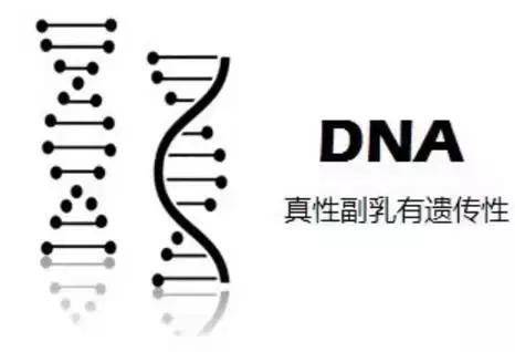 腋下两团赘肉是副乳吗,怎么消除副乳腋下肉