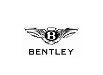 4岁儿童认识100个车标,世界顶级车标你认识几个