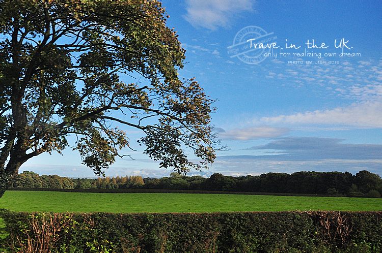 曼彻斯特老特拉福德球场英文,曼彻斯特老特拉福德球场航拍