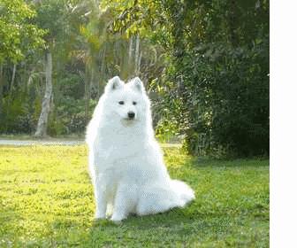 有一种绿松石叫别人家的绿松石！