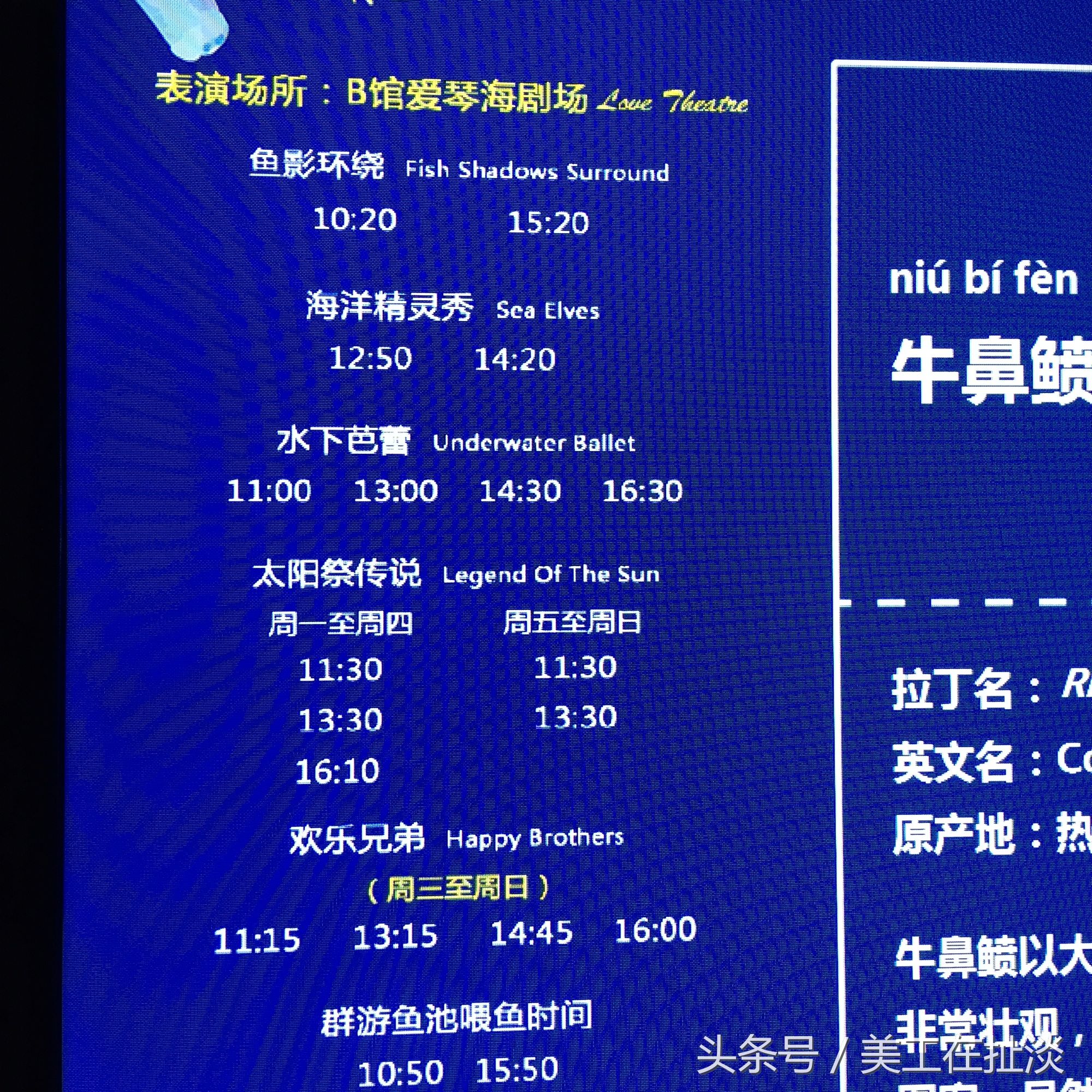 汉海海洋公园门票价格,巴南汉海海洋公园门票