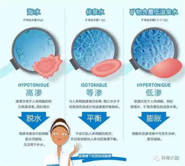 喷雾哪一款最好用,一款超出你的想象的喷雾