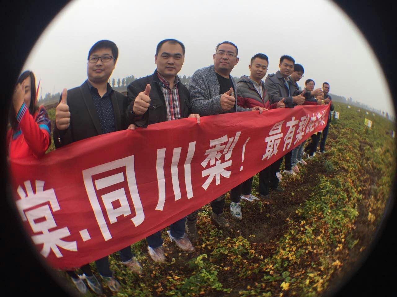 大学生回村创业有哪些好项目,大学生深山创业致富