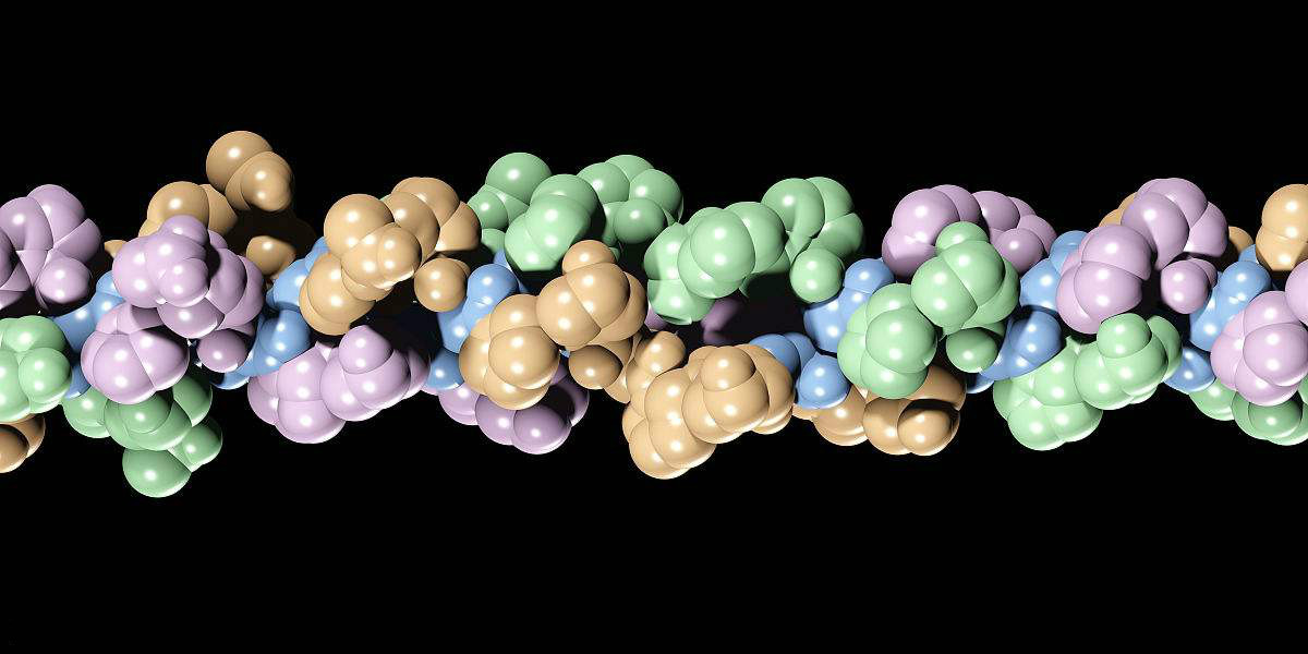 哪种动物胶原蛋白最好,动物胶原蛋白大量存在吗