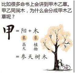 细说天干地支,趣谈天干地支