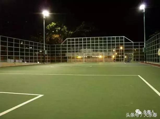 永春县笼式足球场,永春人造草坪足球场