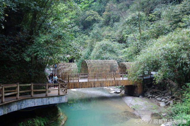 重庆最美黑山谷景区,重庆万盛黑山谷旅游如何