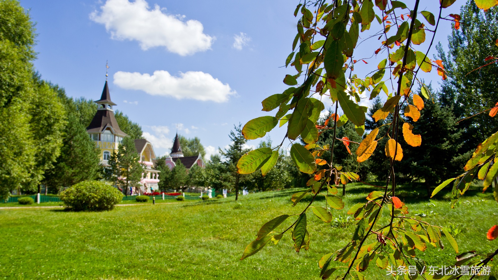 伏尔加庄园一日游攻略,伏尔加庄园一日游团