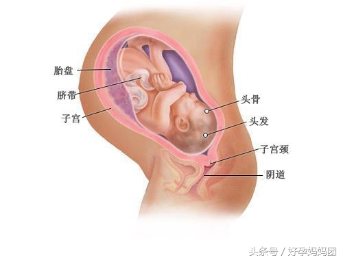 孕期孕妇最需要的是老公的关心,怀孕妈妈测试孩子