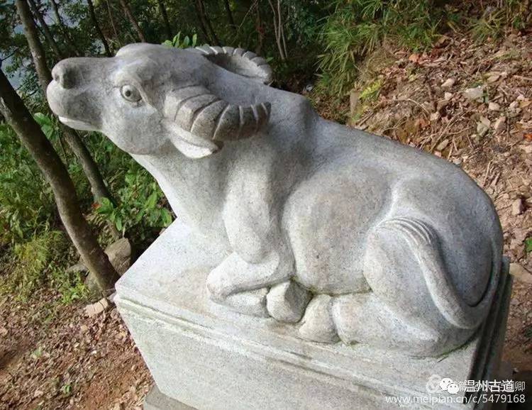 乐清白石凤凰山在哪,乐清白石山上好玩的地方