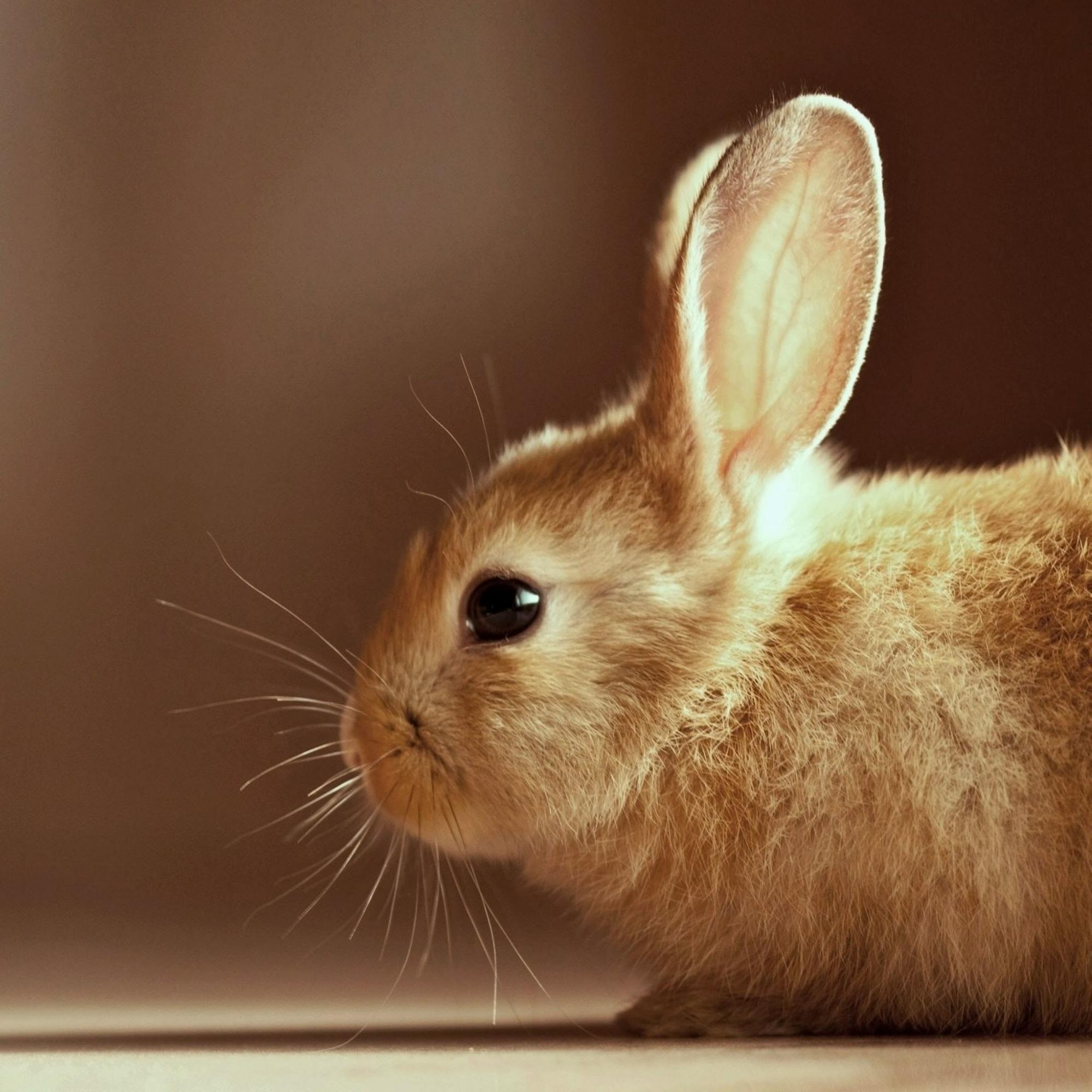 微信相册封面图片大全,微信相册封面图是什么