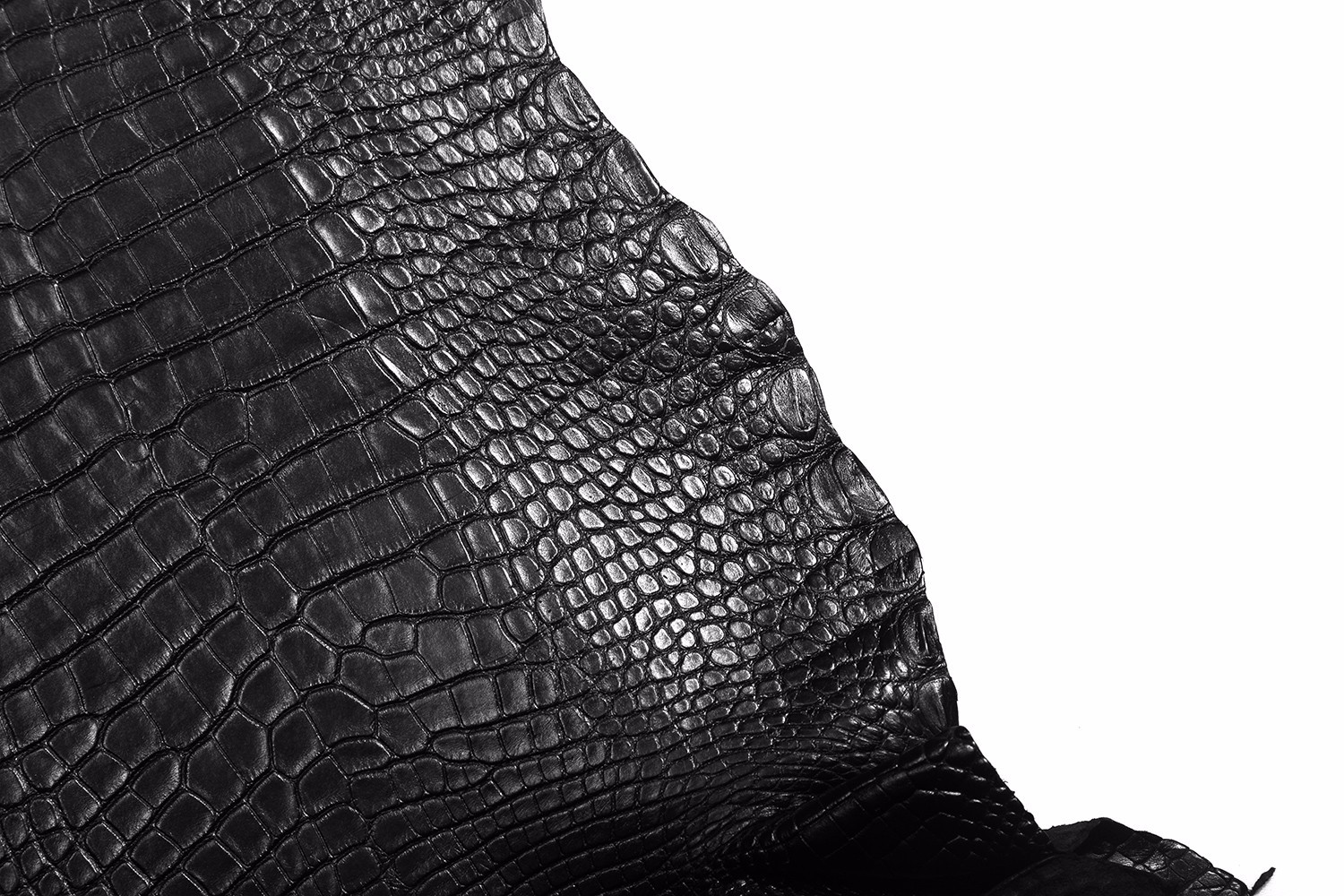 看起来差不多价格相差甚远,各类鳄鱼皮的价位