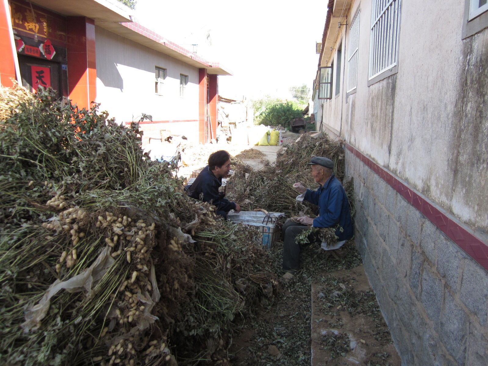 2022年60岁以上的农民有什么补助,2022农民养老金补助350元是真的吗