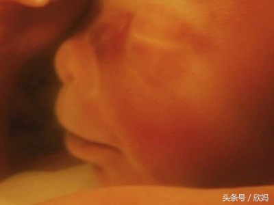 妈妈知道宝宝在肚子里,胎宝宝在肚子里的发育