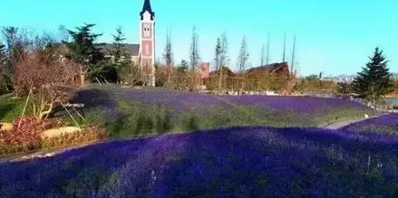 烟台踏青最佳方案,烟台最好的踏青方法是什么