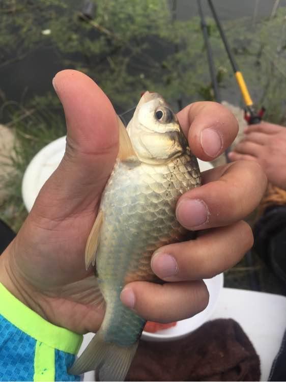 上班绑鱼钩，午休去钓鱼，因为工作耽搁了钓鱼，太不值！