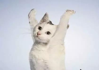 练背练肩颈真的可以瘦背吗,练背可以改善脊椎两侧肌肉吗