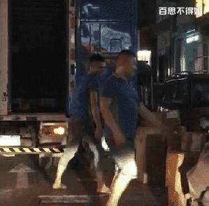 每天易乐,每日易乐的内容