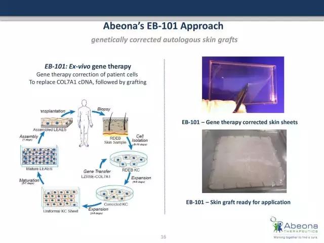基因编辑疗法获得fda通过了吗,基因疗法治愈hiv获fda批准了么
