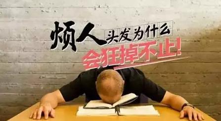 头发油买舒蕾,头发油康王