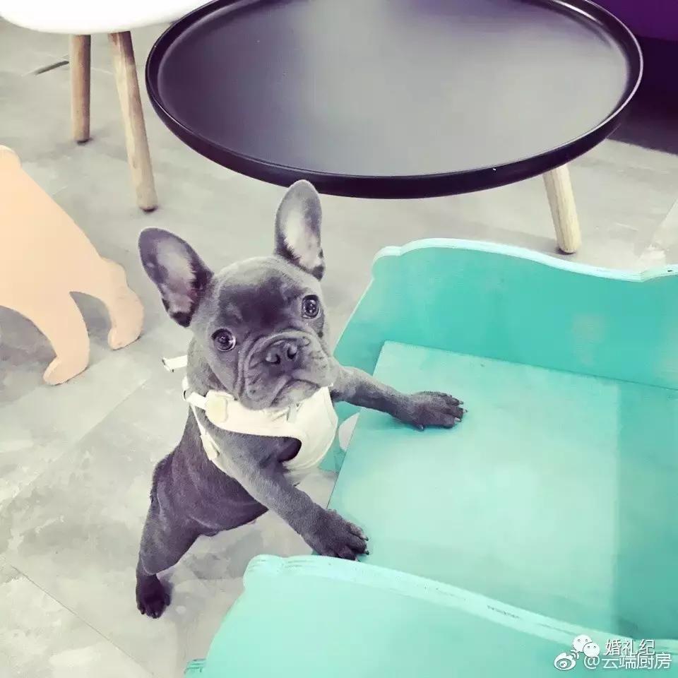 南京小众婚纱拍照点,南京拍婚纱照必须打卡的店